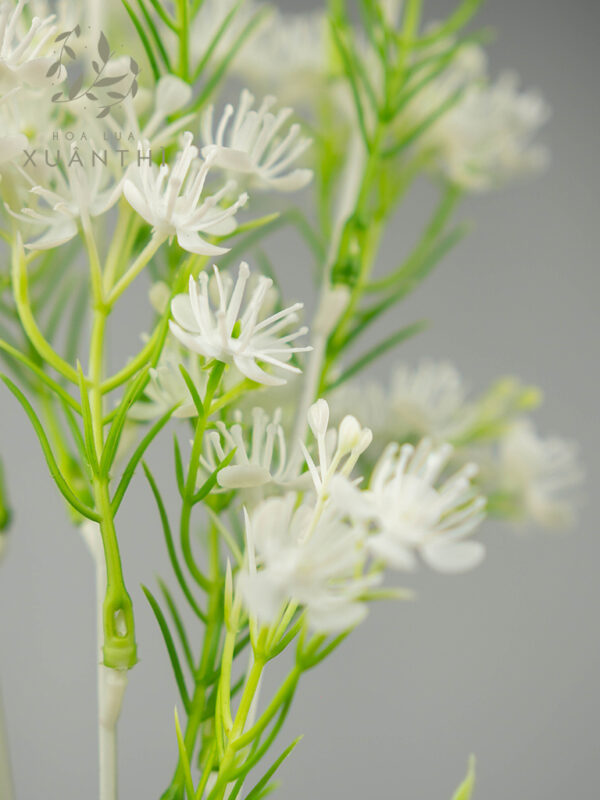 Cành điểm hoa bi trắng CD01