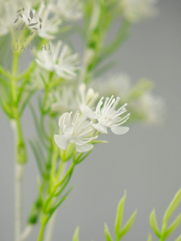 Cành điểm hoa bi trắng CD01